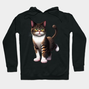 funny cat Hoodie